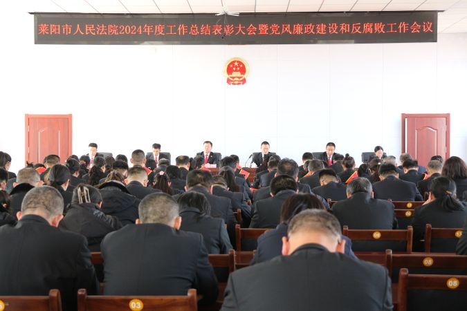 实干笃行开新局 奋勇争先谱新篇——莱阳法...